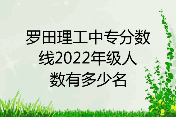 罗田理工中专分数线2022年级人数有多少名