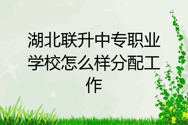 湖北联升中专职业学校怎么样分配工作