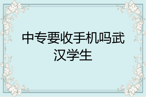 中专要收手机吗武汉学生