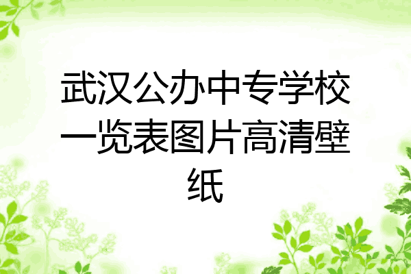 武汉公办中专学校一览表图片高清壁纸