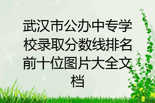 武汉市公办中专学校录取分数线排名前十位图片大全文档