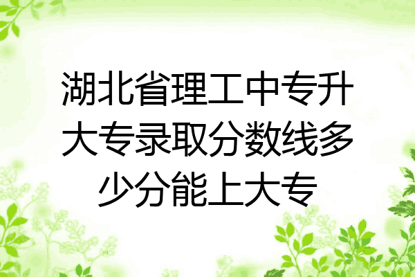 湖北省理工中专升大专录取分数线多少分能上大专