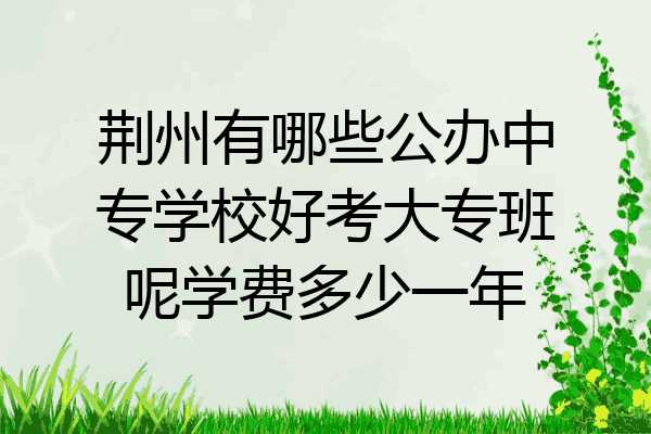荆州有哪些公办中专学校好考大专班呢学费多少一年