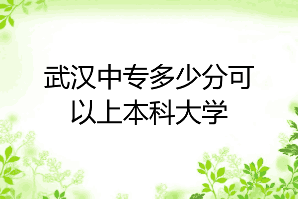 武汉中专多少分可以上本科大学
