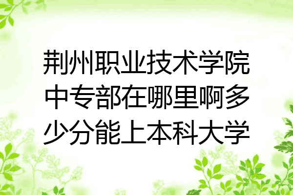荆州职业技术学院中专部在哪里啊多少分能上本科大学