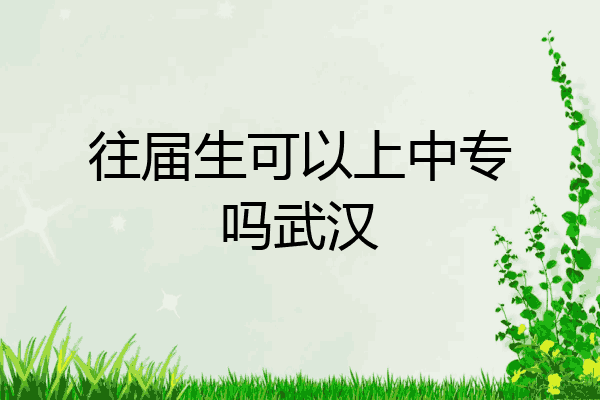 往届生可以上中专吗武汉