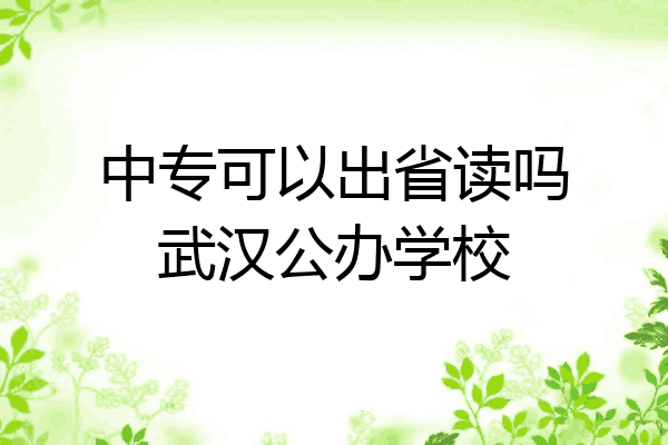 中专可以出省读吗武汉公办学校