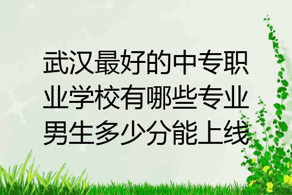 武汉最好的中专职业学校有哪些专业男生多少分能上线