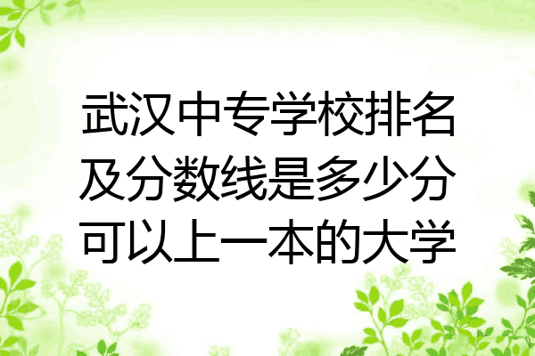 武汉中专学校排名及分数线是多少分可以上一本的大学