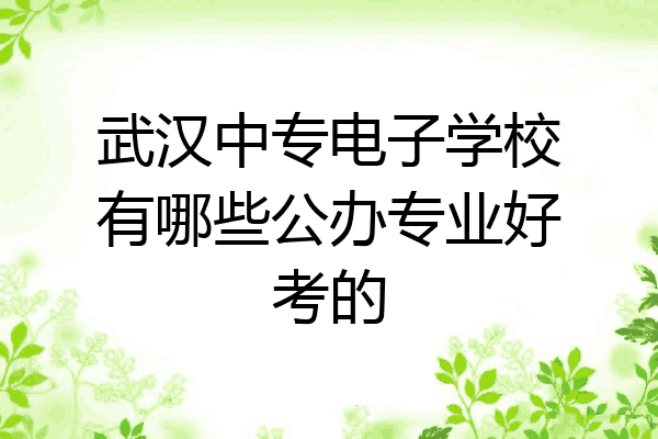 武汉中专电子学校有哪些公办专业好考的