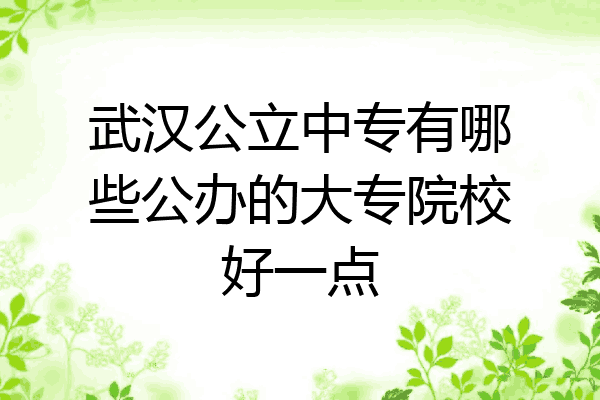 武汉公立中专有哪些公办的大专院校好一点