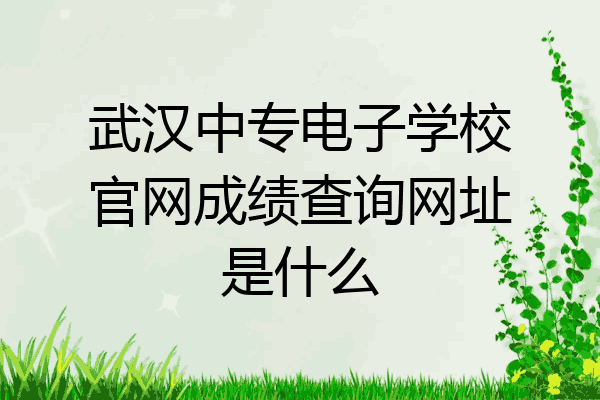 武汉中专电子学校官网成绩查询网址是什么