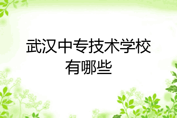 武汉中专技术学校有哪些