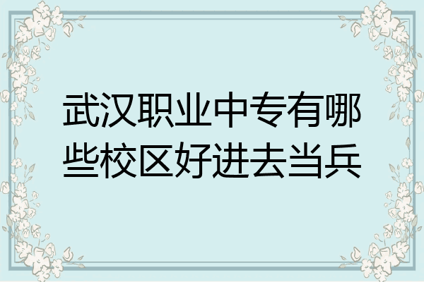 武汉职业中专有哪些校区好进去当兵