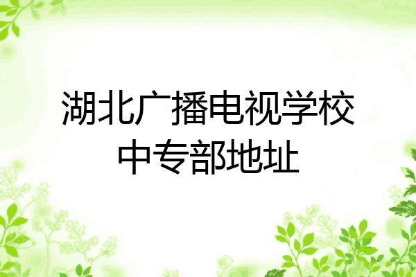 湖北广播电视学校中专部地址