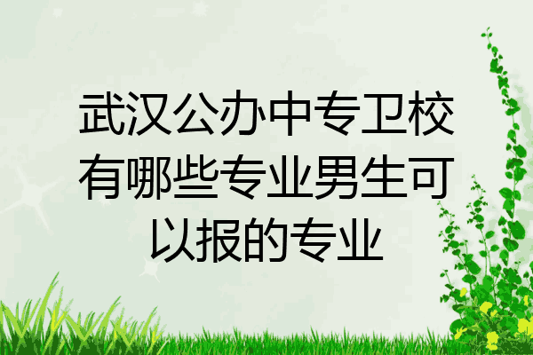 武汉公办中专卫校有哪些专业男生可以报的专业