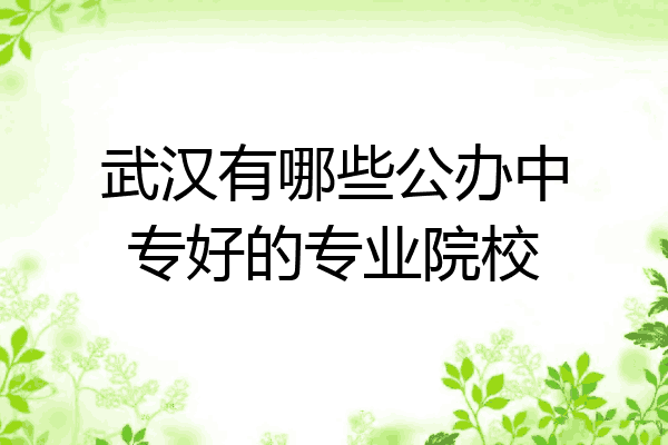 武汉有哪些公办中专好的专业院校