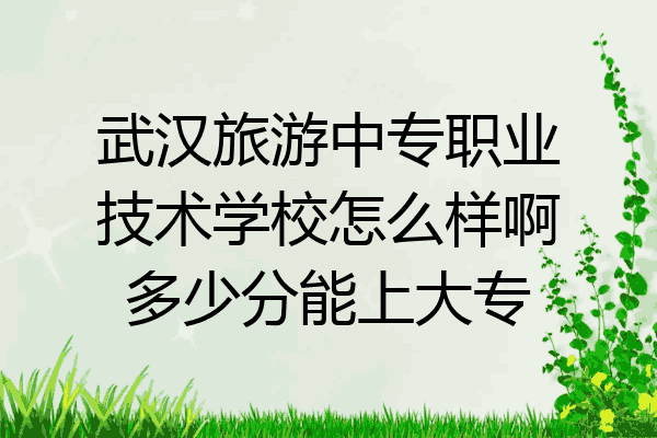 武汉旅游中专职业技术学校怎么样啊多少分能上大专