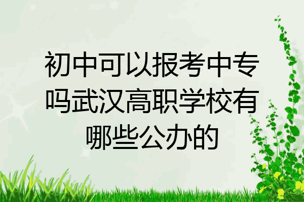 初中可以报考中专吗武汉高职学校有哪些公办的