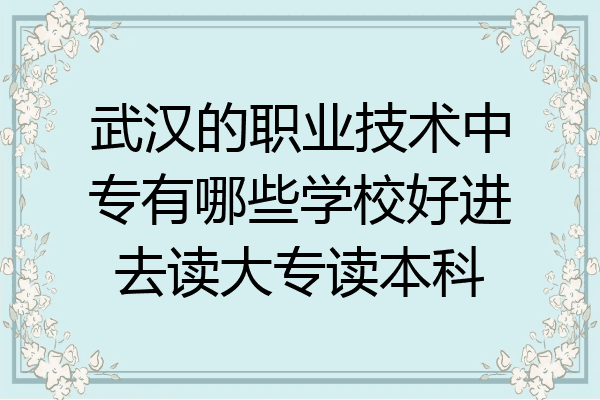 武汉的职业技术中专有哪些学校好进去读大专读本科