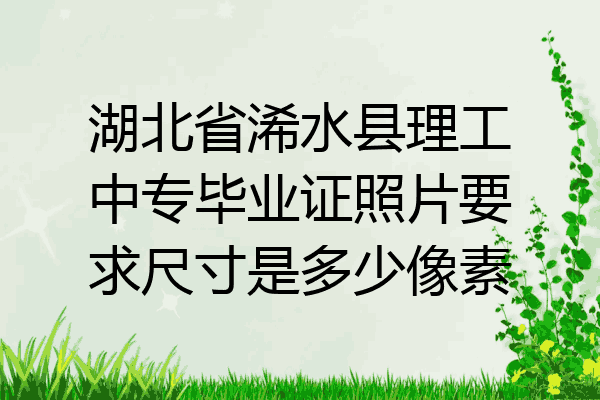 湖北省浠水县理工中专毕业证照片要求尺寸是多少像素