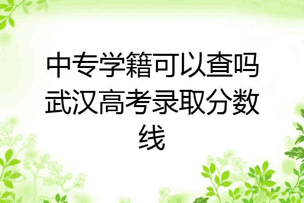 中专学籍可以查吗武汉高考录取分数线