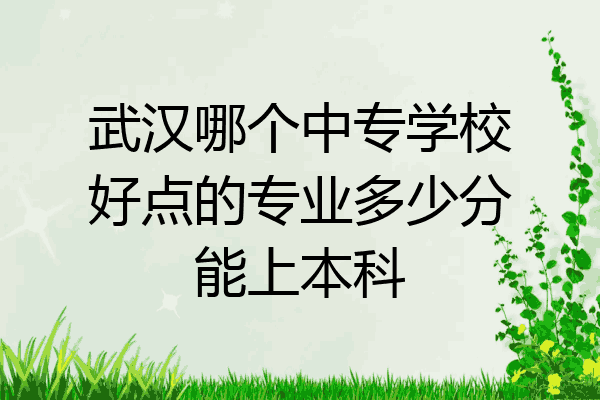 武汉哪个中专学校好点的专业多少分能上本科