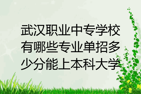 武汉职业中专学校有哪些专业单招多少分能上本科大学
