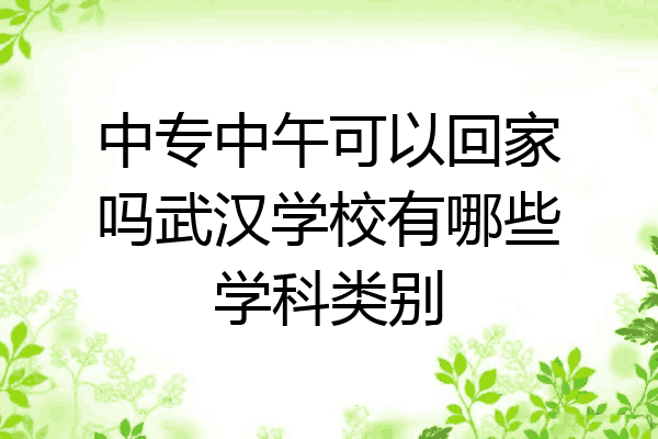 中专中午可以回家吗武汉学校有哪些学科类别