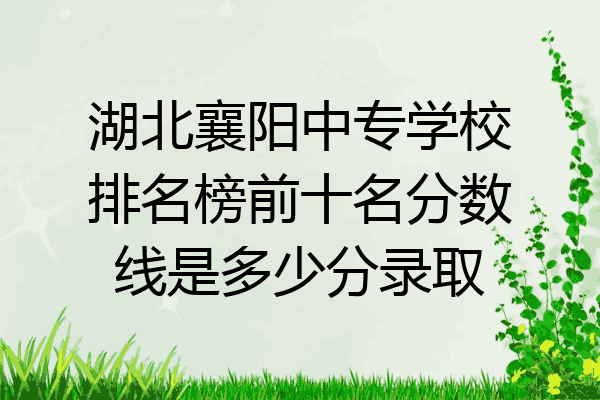 湖北襄阳中专学校排名榜前十名分数线是多少分录取