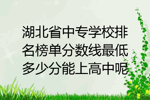 湖北省中专学校排名榜单分数线最低多少分能上高中呢