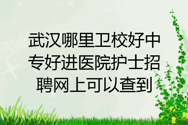 武汉哪里卫校好中专好进医院护士招聘网上可以查到
