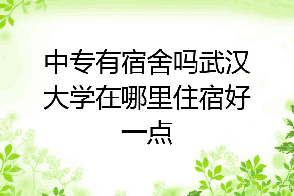 中专有宿舍吗武汉大学在哪里住宿好一点