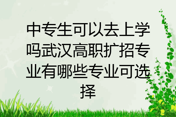 中专生可以去上学吗武汉高职扩招专业有哪些专业可选择