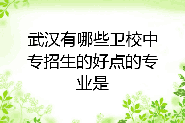 武汉有哪些卫校中专招生的好点的专业是