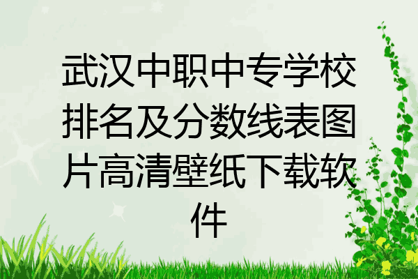 武汉中职中专学校排名及分数线表图片高清壁纸下载软件