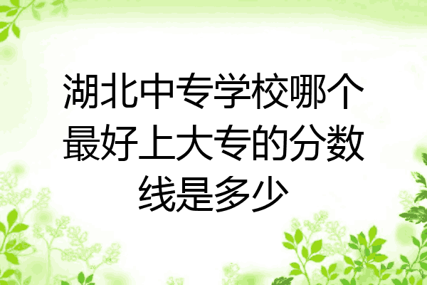 湖北中专学校哪个最好上大专的分数线是多少