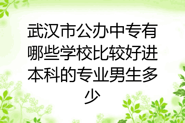 武汉市公办中专有哪些学校比较好进本科的专业男生多少