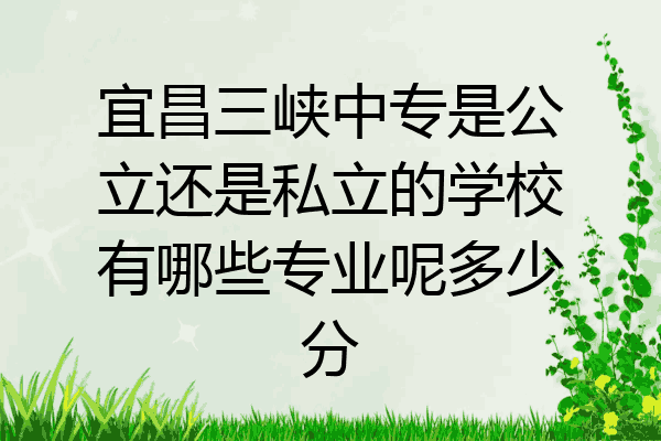 宜昌三峡中专是公立还是私立的学校有哪些专业呢多少分