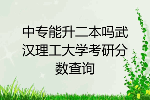 中专能升二本吗武汉理工大学考研分数查询
