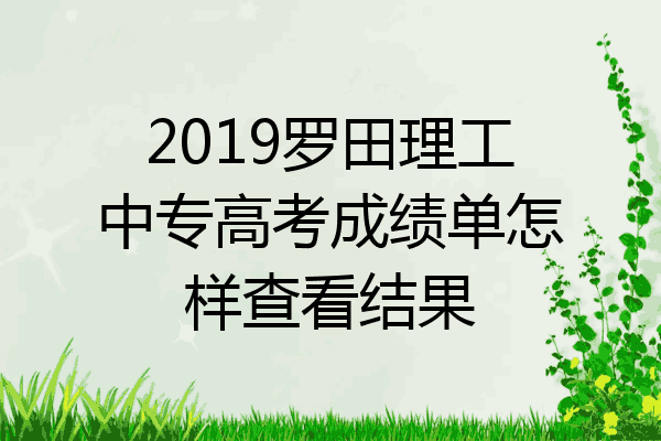 2019罗田理工中专高考成绩单怎样查看结果