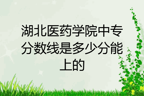 湖北医药学院中专分数线是多少分能上的