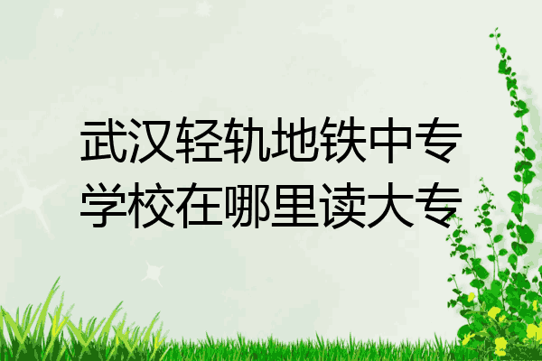 武汉轻轨地铁中专学校在哪里读大专