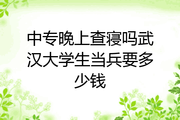 中专晚上查寝吗武汉大学生当兵要多少钱
