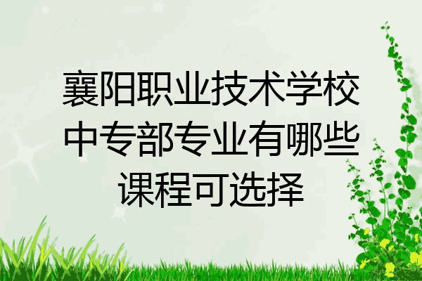 襄阳职业技术学校中专部专业有哪些课程可选择