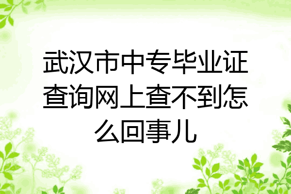 武汉市中专毕业证查询网上查不到怎么回事儿