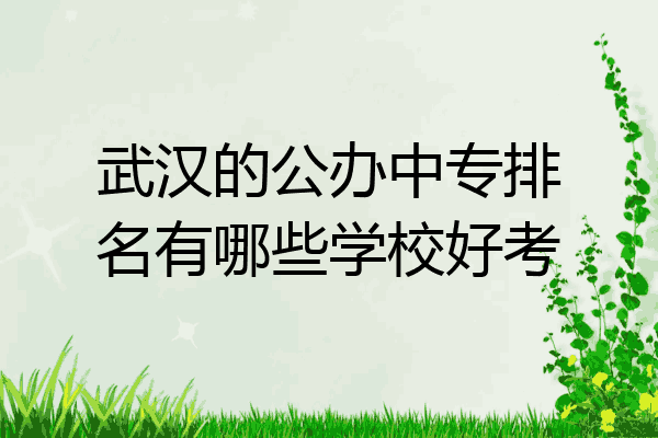 武汉的公办中专排名有哪些学校好考