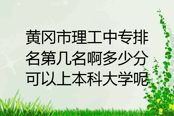 黄冈市理工中专排名第几名啊多少分可以上本科大学呢