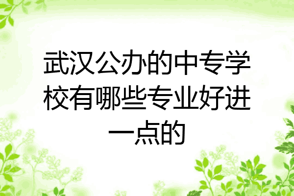 武汉公办的中专学校有哪些专业好进一点的