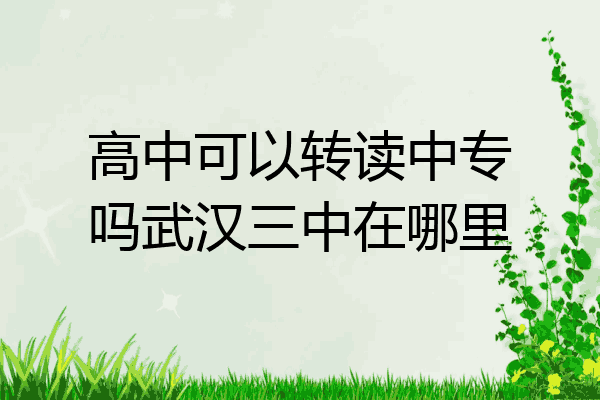 高中可以转读中专吗武汉三中在哪里
